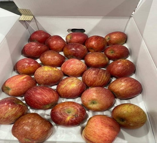 Táo Mật Hàn Quốc